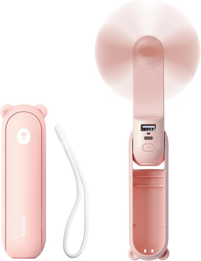 Pink handheld fan